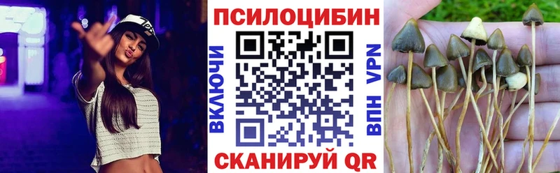mega как зайти  Саратов  Галлюциногенные грибы прущие грибы 